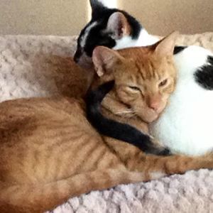 Meet your Posher, Elijah